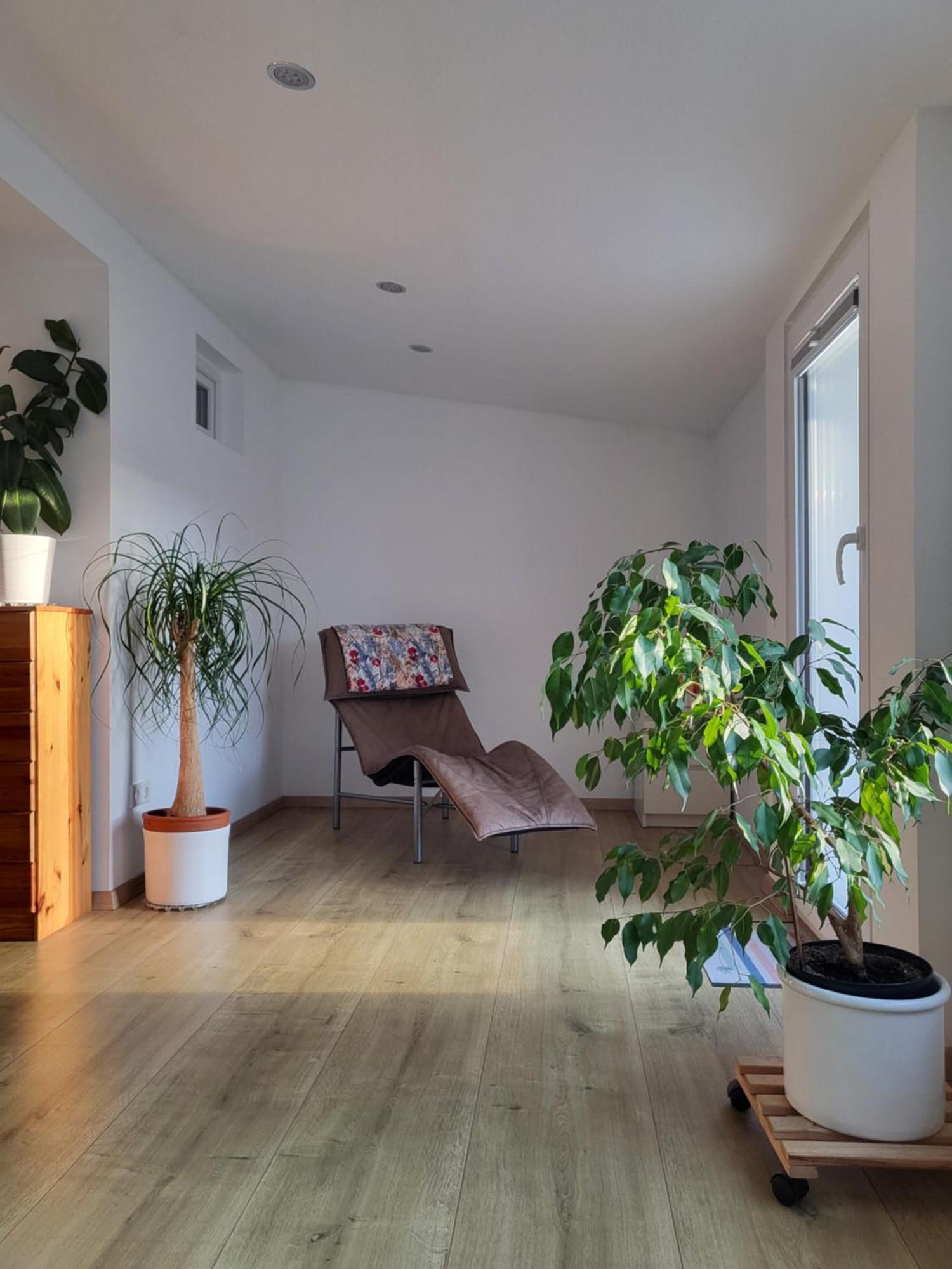 Bungalow In Messenaehe 汉诺威 外观 照片